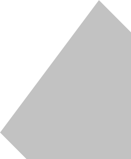 Century E-book