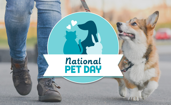 April 11th is National Pet Day