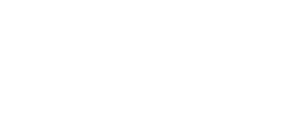 PAL Logo white