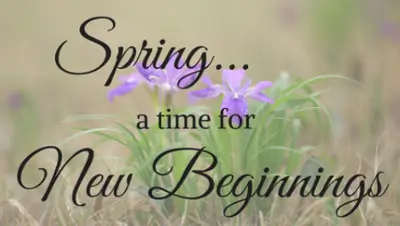 Spring season message with blooming purple flowers symbolizing new beginnings