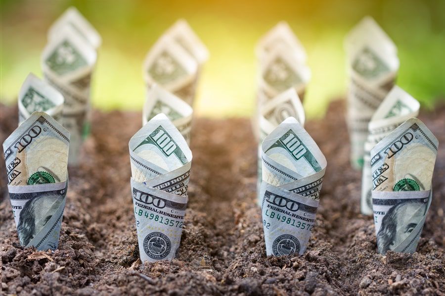 Rolled dollar bills standing upright in soil, symbolizing financial growth or investment