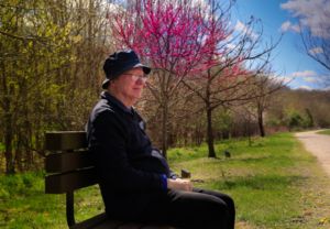 Person sitting on a bench in a park near blooming pink trees on a bright day